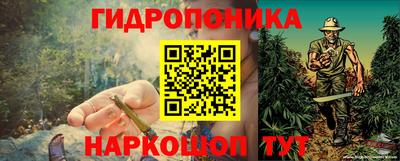 дмт Кандалакша