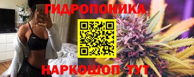дмт Кандалакша