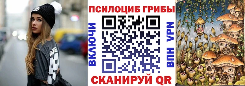 Псилоцибиновые грибы Psilocybe  наркотики  Нижнекамск 