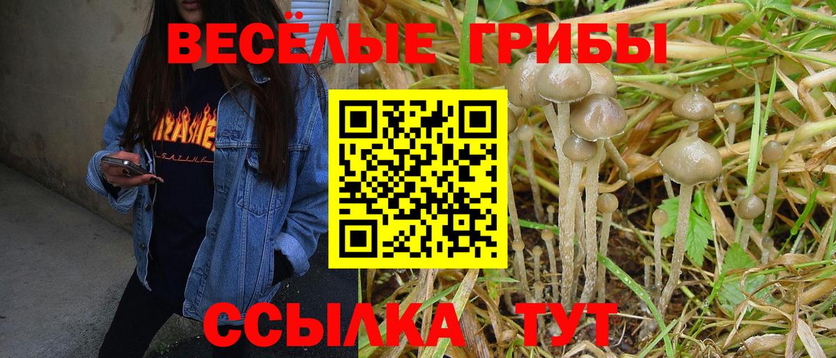 как найти   Вход с VPN  Нижнекамск  Галлюциногенные грибы мицелий  Галлюциногенные грибы Psilocybine cubensis 