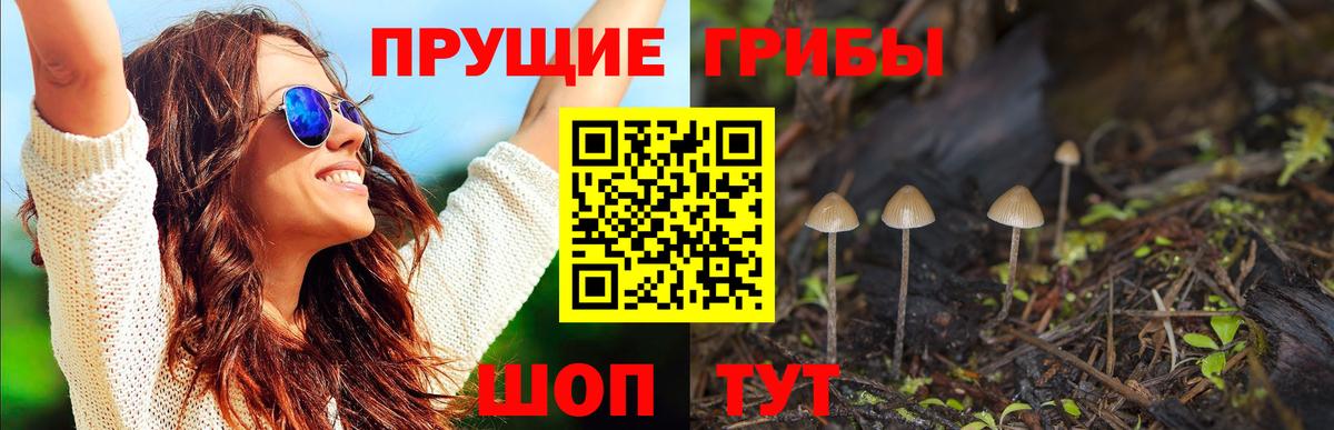 Галлюциногенные грибы GOLDEN TEACHER Нижнекамск