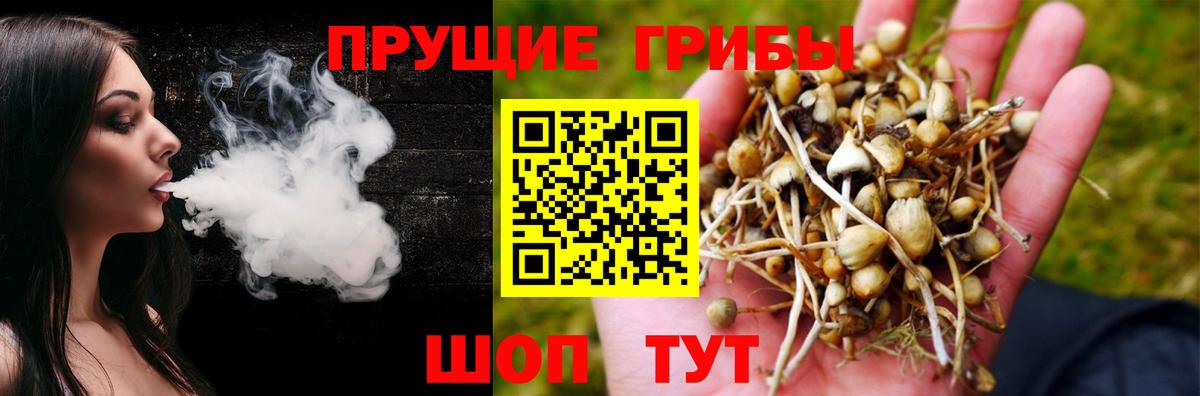 как найти   Нижнекамск  Галлюциногенные грибы прущие грибы 