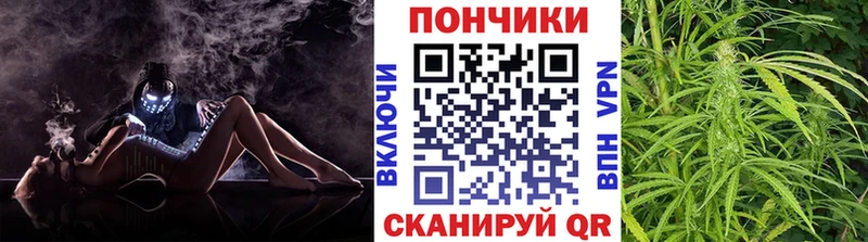 цена наркотик  Нижнекамск  МАРИХУАНА ГИДРОПОН 
